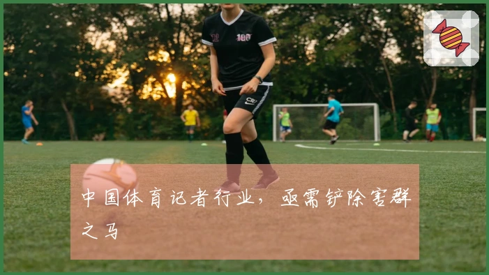 中国体育记者行业，亟需铲除害群之马