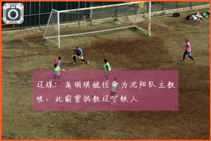 辽媒：高明琪被任命为沈阳队主教练，此前曾执教辽宁铁人