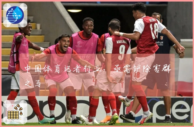 中国体育记者行业，亟需铲除害群之马